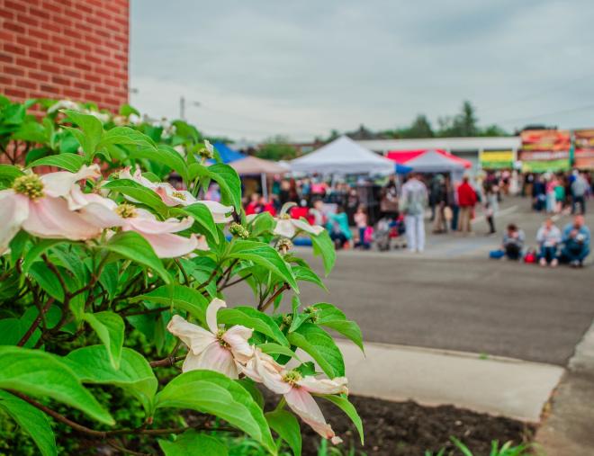 Vinton Dogwood Festival - Town of Vinton - Roanoke County, VA