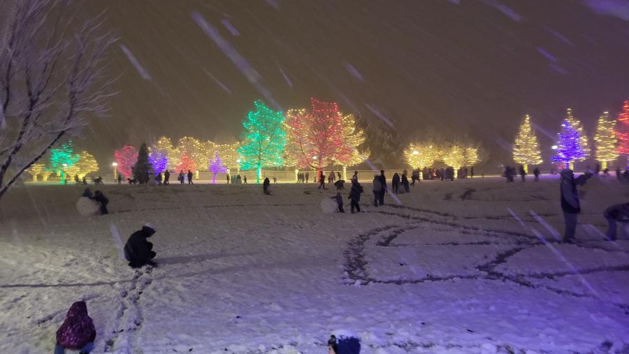 A group of people enjoy the holiday winter lights at Roosevelt Park in Longmont