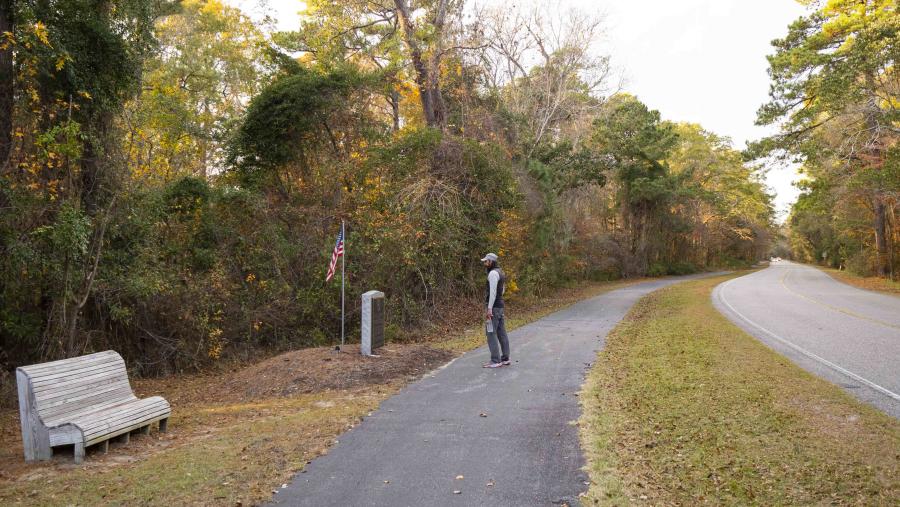 woods road trail blog