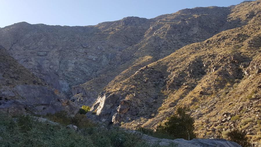Tahquitz Canyon