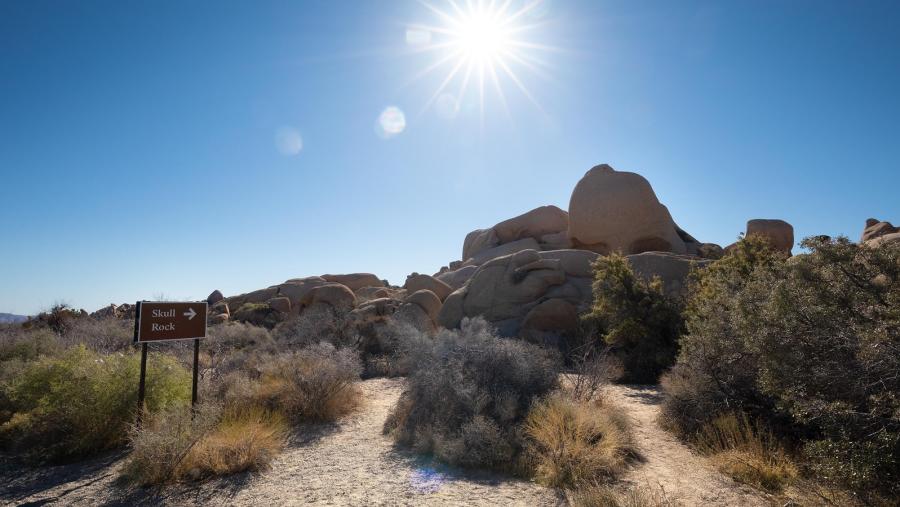 Skull Rock in Joshua Tree