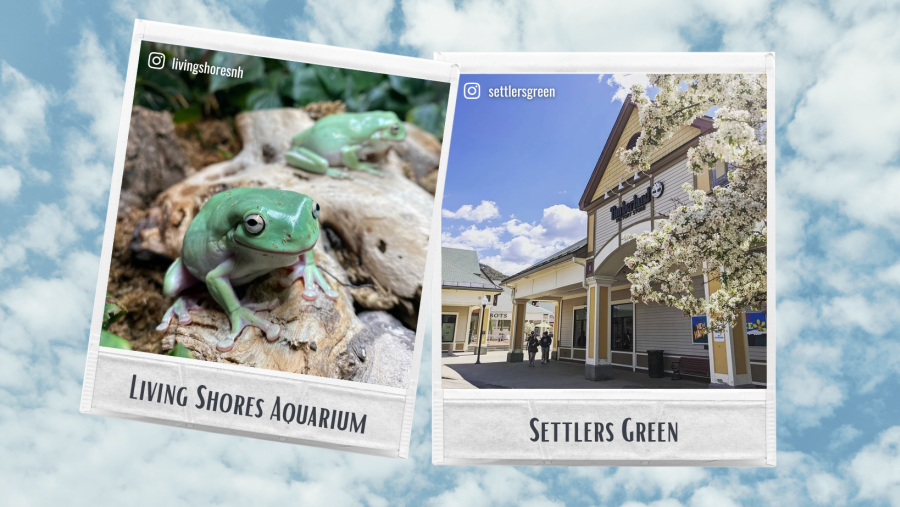 Spring Itinerary IV (Living Shores Aquarium & Settlers Green)