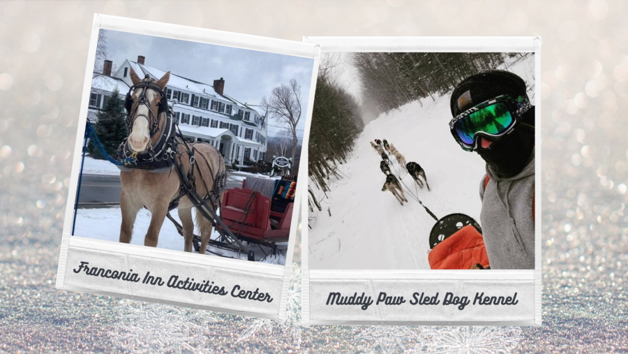 Franconia Inn and Muddy Paw Sled Dog Kennel