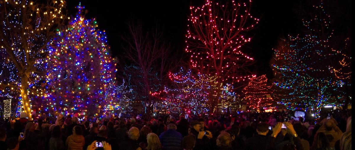 Annual Holiday Lighting Plaza