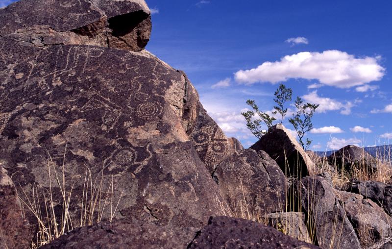 A collection of petroglyphs carved into a rock at Petroglyph National Monument