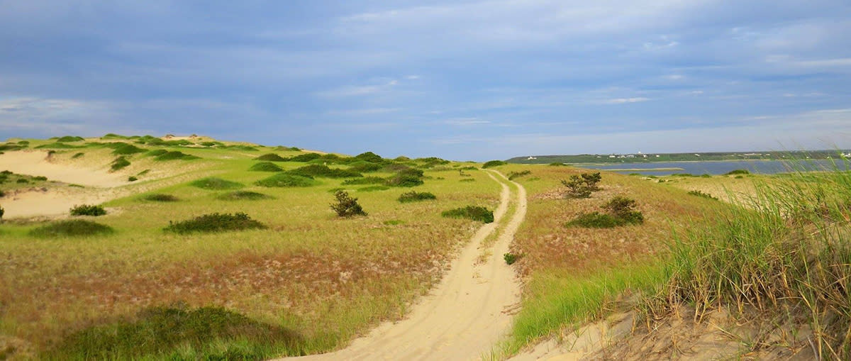 Dune Tours on Cape Cod