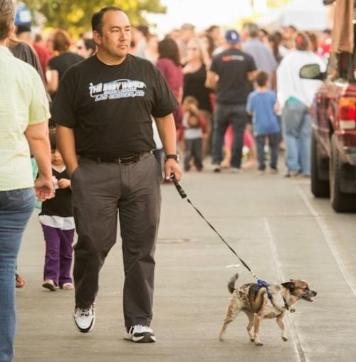 Farmers Market Pet Dog