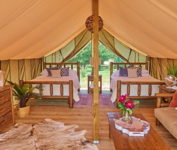 Safari Tent