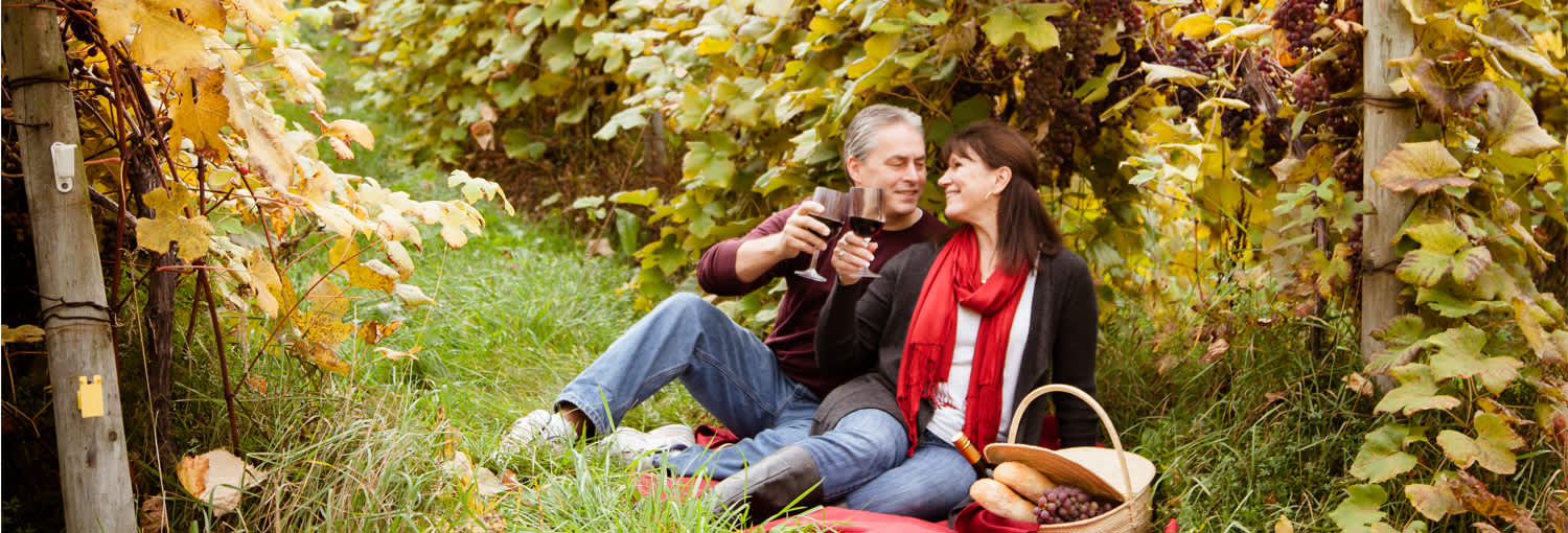 Wine Tours In The Finger Lakes