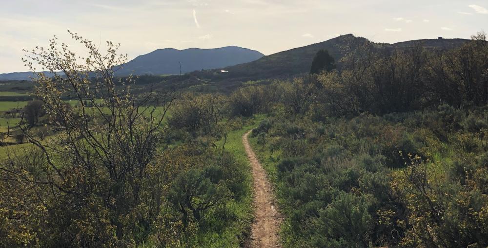 Hot Springs Trail Mountain Biking Steamboat Springs, Colorado 