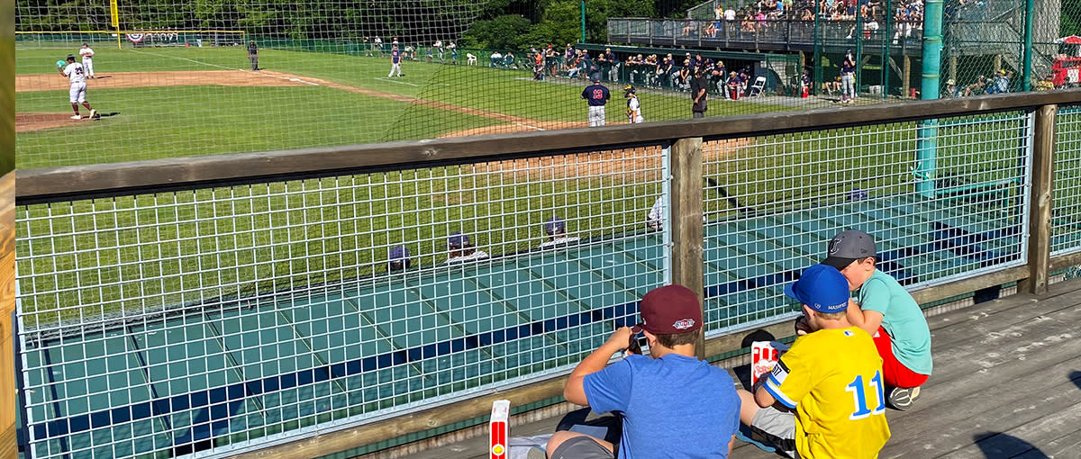 Cape Cod Baseball League