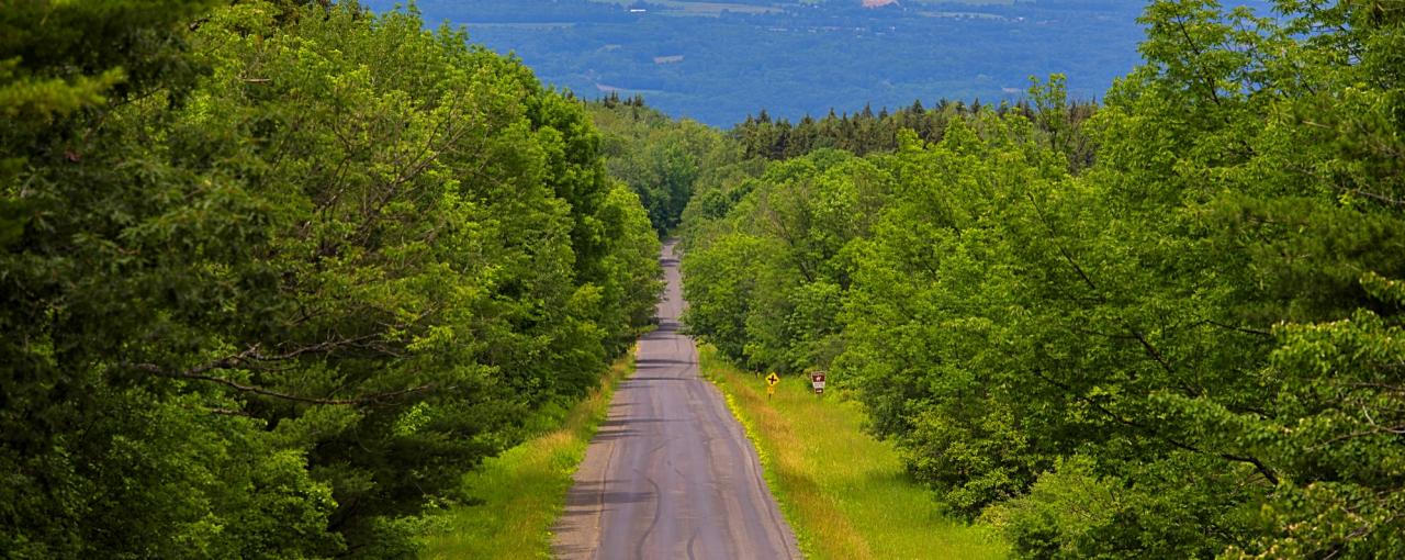 New York Scenic Drives Things To Do In New York