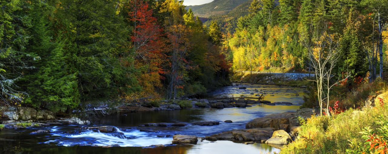 Fall Foliage In New York Autumn Leaves Scenic Drives