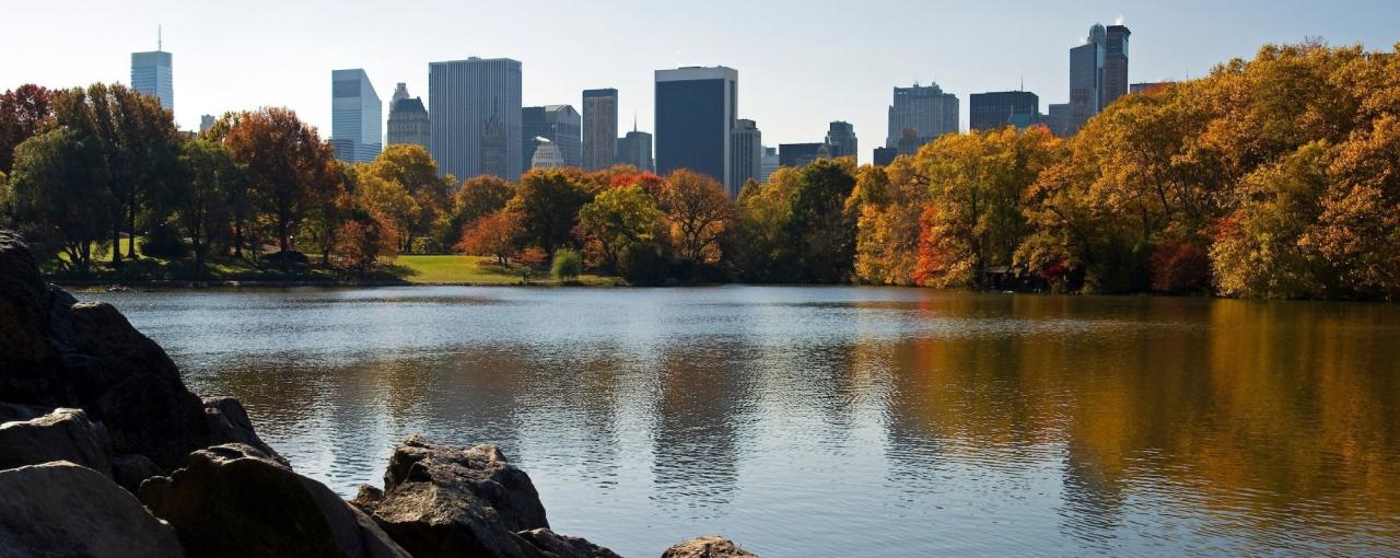 Rocks, water and fall foliage in Central Park