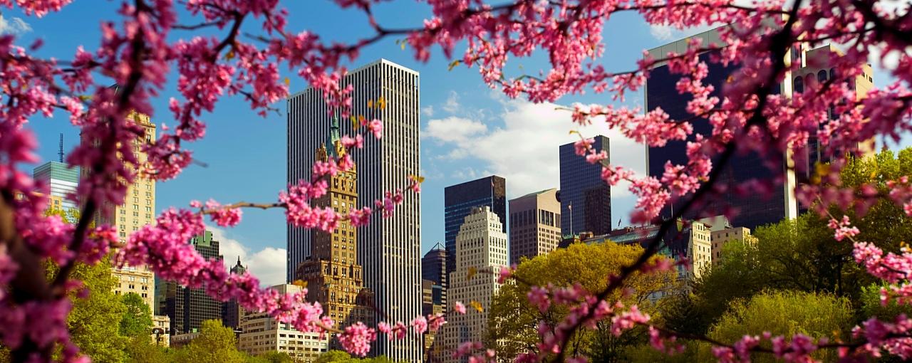 Spring And Summer In New York New York Seasons New