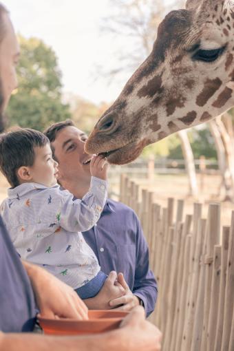 Topeka Zoo Giraffe Exhibit Family