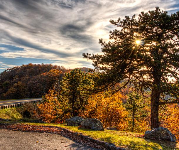 Blue Ridge Parkway  Explore Virginia's Blue Ridge Mountains