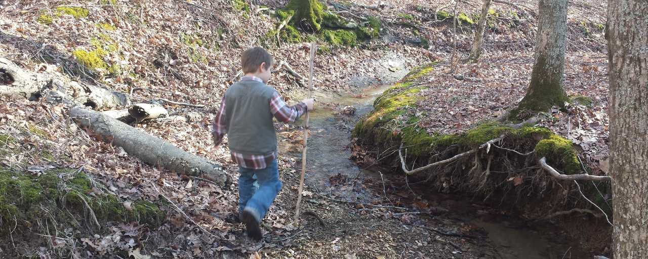 Hiking in Morgan-Monroe State Forest
