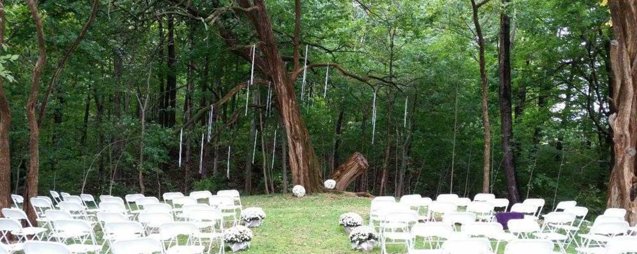 The Wedding Tree at Willowfield Lavender Farm