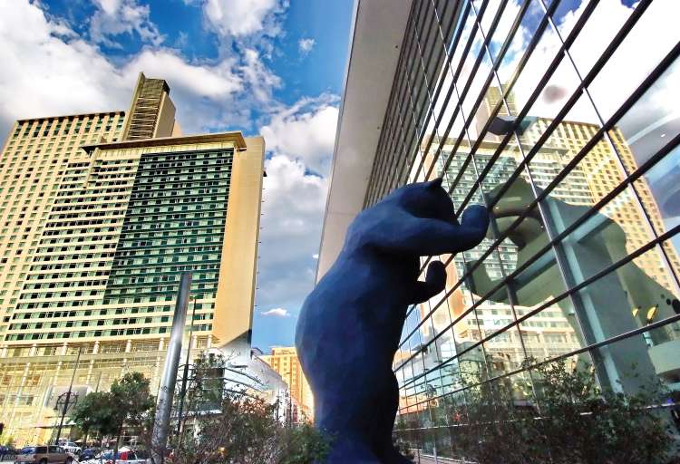 Big blue bear at Denver Convertion Center
