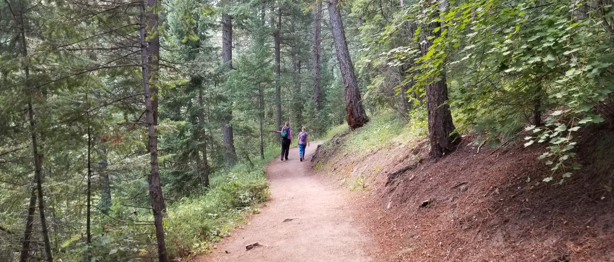 Family hiking the Boulder Ranger Trail