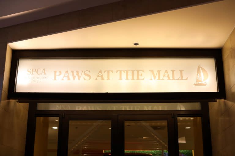 Paws-at-the-Mall-Sign