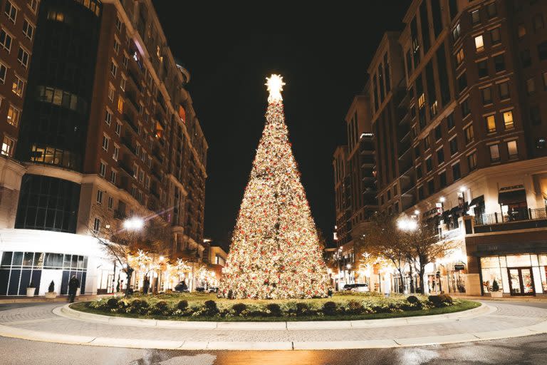 Annapolis Town Center Christmas Tree