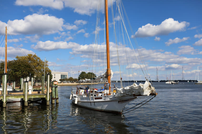 Sailboat - Wilma Lee