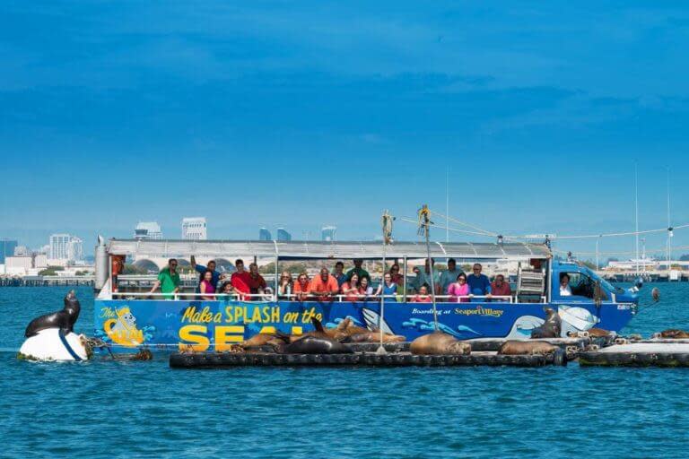 Seal-Tours-Boat-San-Diego