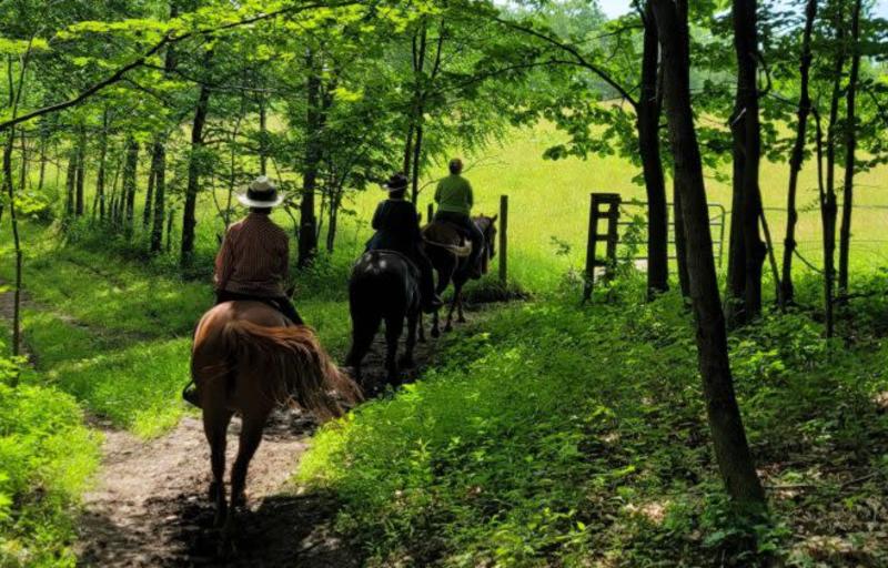 Green Riding Retreats - Horseback Riding