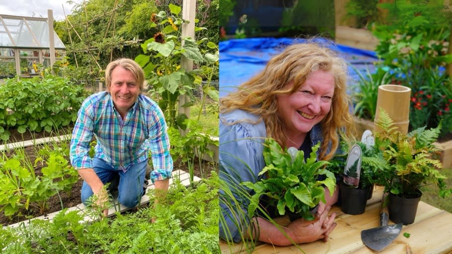 New Forest Show - Stars of the live stage