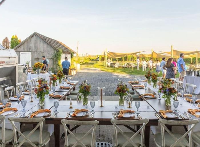 Rose Hill Vineyards
