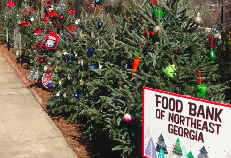 Tinsel Trail