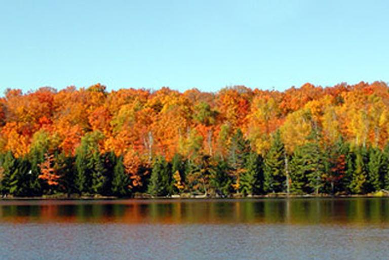 fall colors by the lake