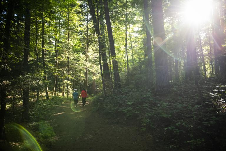 Couple Hiking in Minocqua