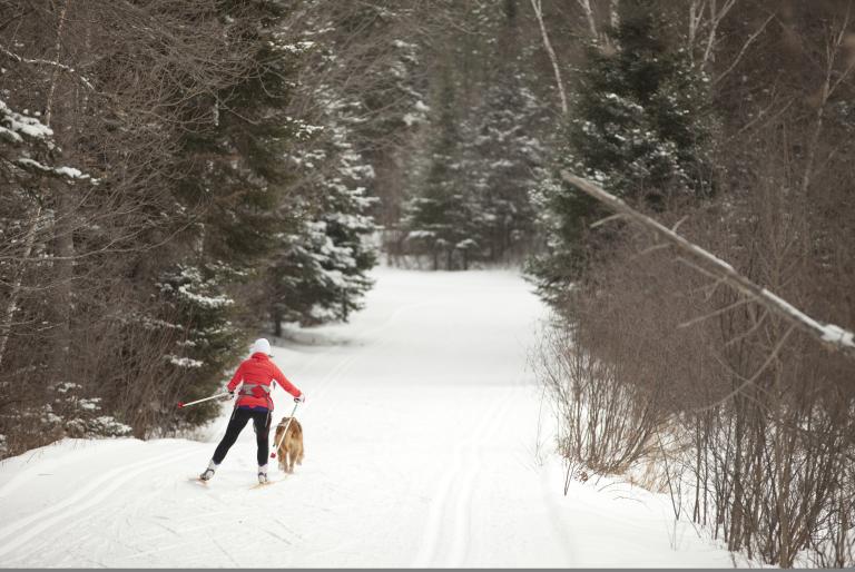 skier