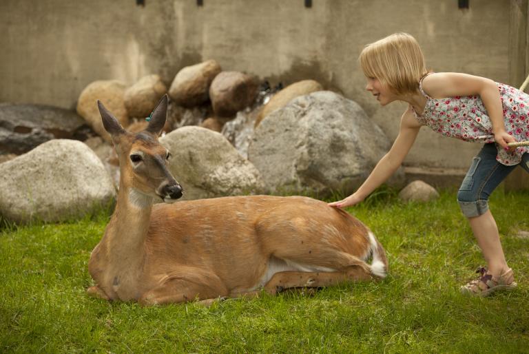 Wildwood Zoo