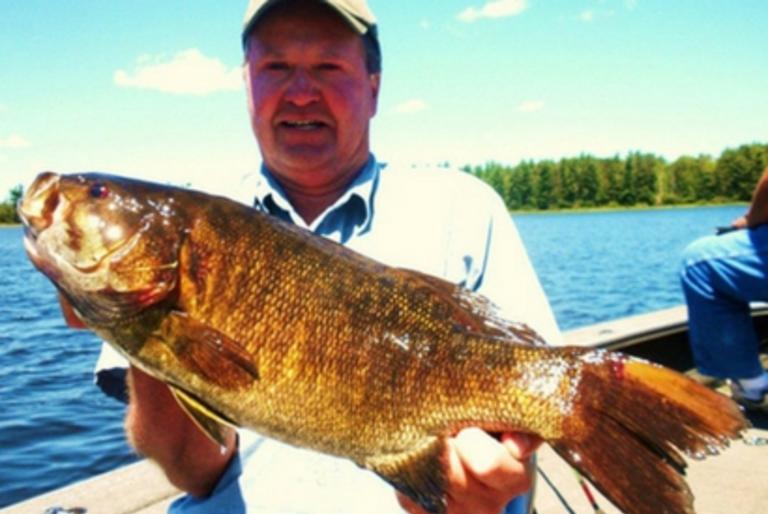 Bass