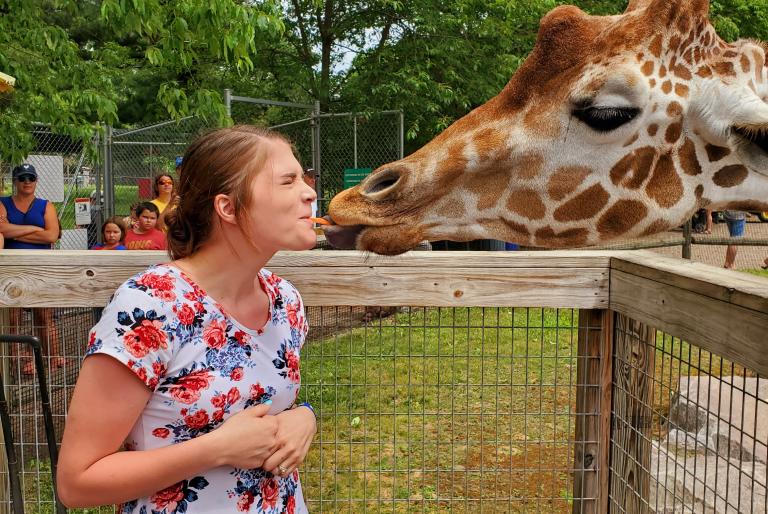 feeding giraffe at the zoo