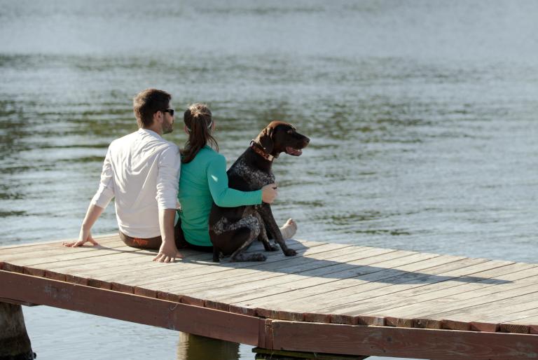 Dog on Dock