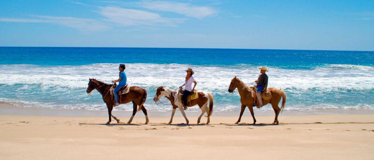 Horseback ride along the beach's coast