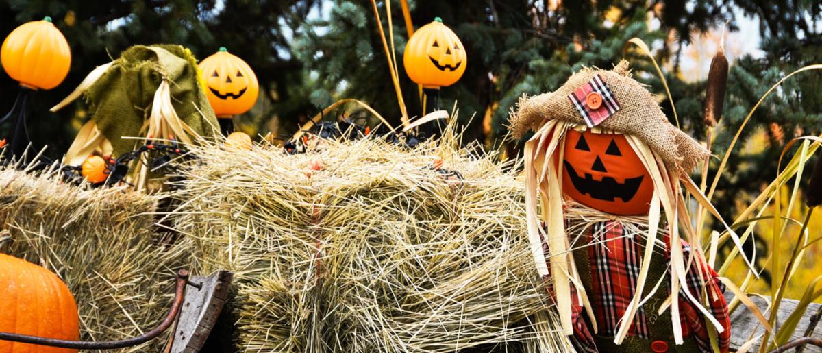 pumpkin scare crows next to hay bales