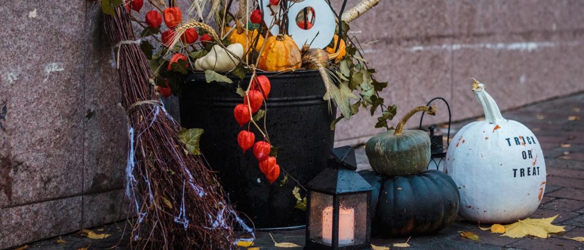 pumpkins and fall decor