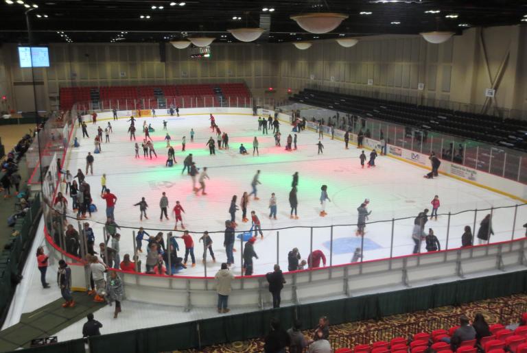 Ice Skating Arena