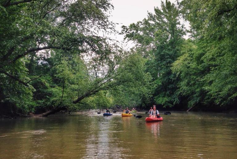 big dogs on the river