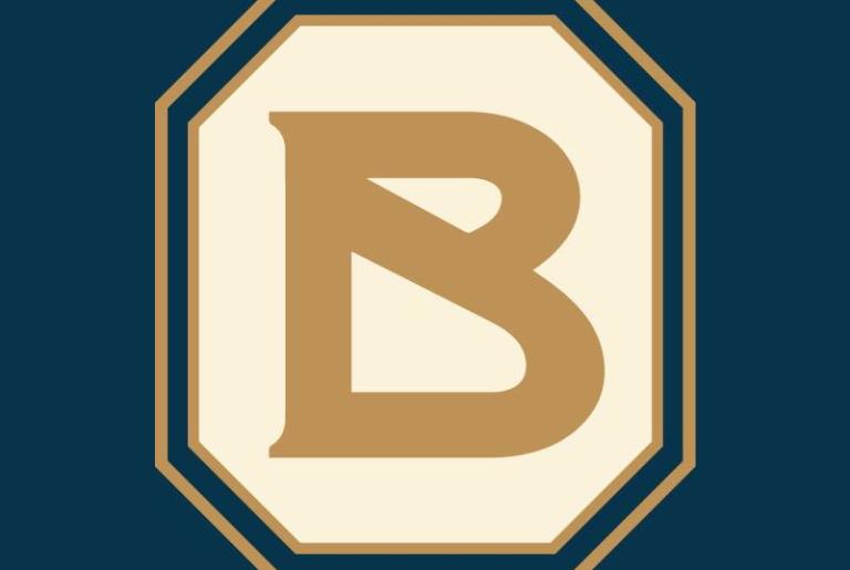 Birdie's Logo