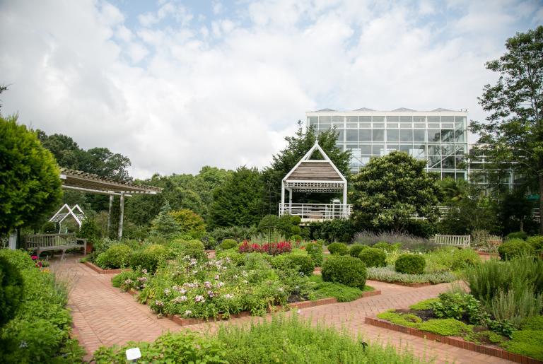 Botanical Garden Summer