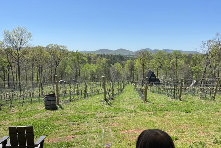 wine tour