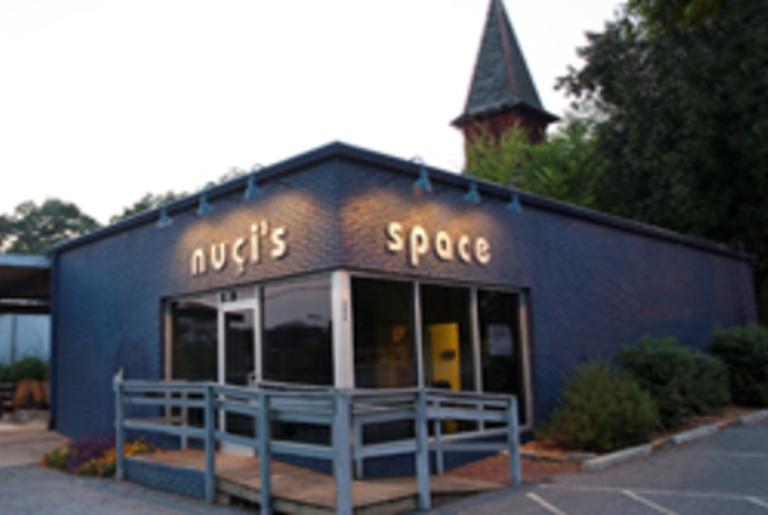 Nucis Space Logo