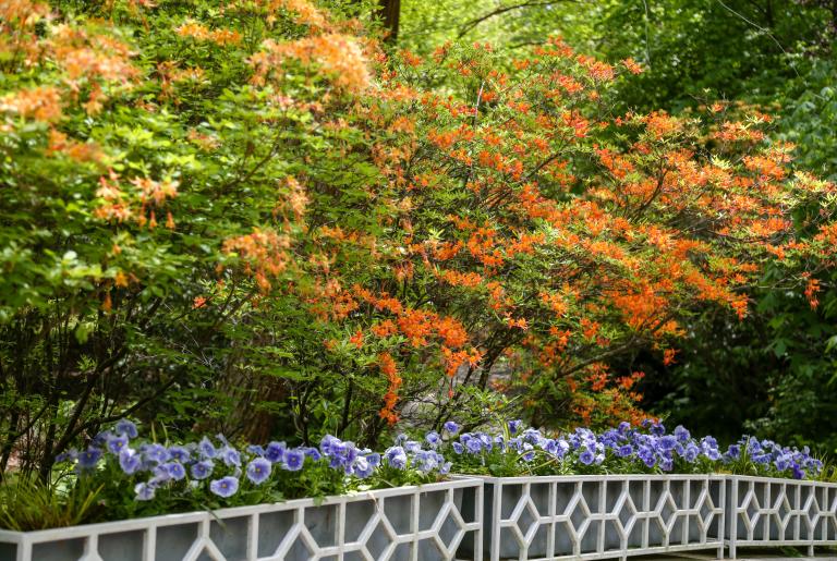 State Botanical Garden Spring